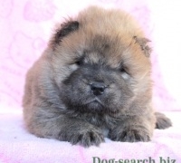 Thumbnail of post image 036