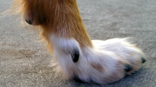Thumbnail of post image 031