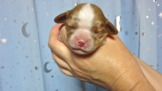 Thumbnail of post image 071