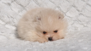 Thumbnail of post image 011