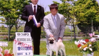 チャンピオン