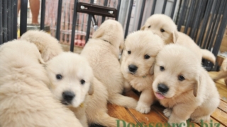 Thumbnail of post image 029
