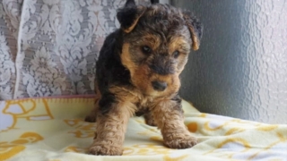 Thumbnail of post image 052