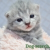 Thumbnail of post image 007