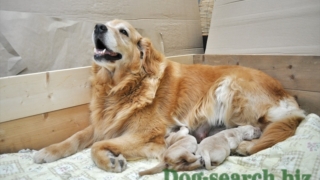 Thumbnail of post image 176