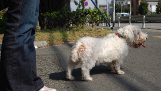 Thumbnail of post image 031