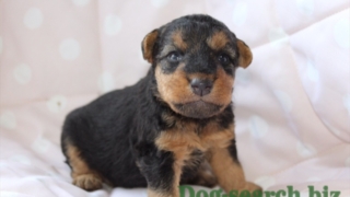 Thumbnail of post image 057