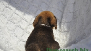 Thumbnail of post image 065