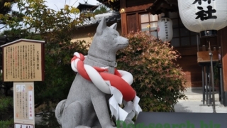 Thumbnail of post image 109