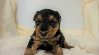 Thumbnail of post image 017
