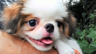 Thumbnail of post image 117