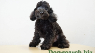 Thumbnail of post image 007