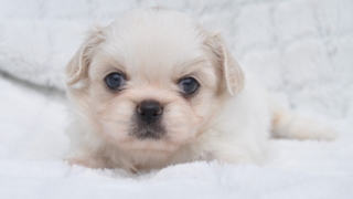 Thumbnail of post image 066