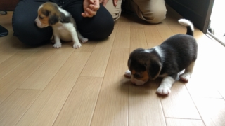 Thumbnail of post image 105