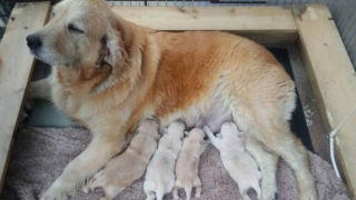 Thumbnail of post image 091