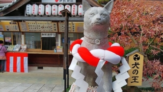 Thumbnail of post image 045