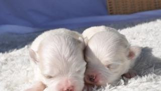 Thumbnail of post image 142