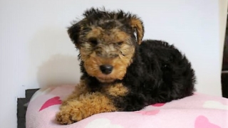 Thumbnail of post image 174