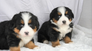 Thumbnail of post image 015