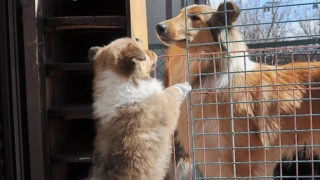 Thumbnail of post image 160