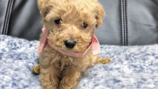 Thumbnail of post image 081