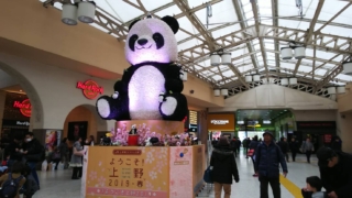 Thumbnail of post image 124