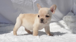 Thumbnail of post image 151