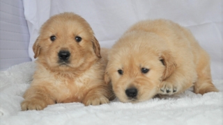 Thumbnail of post image 167