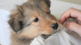 Thumbnail of post image 001