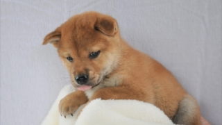 Thumbnail of post image 023