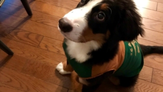 Thumbnail of post image 179