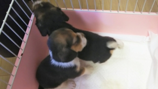 Thumbnail of post image 172