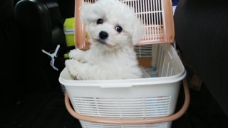 Thumbnail of post image 130