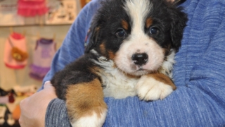 Thumbnail of post image 039