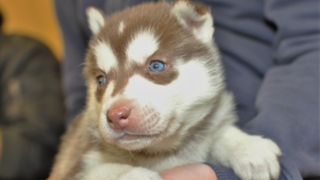 Thumbnail of post image 031