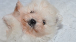 Thumbnail of post image 052