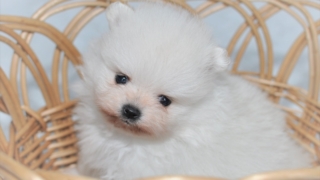 Thumbnail of post image 056