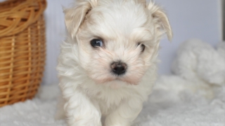 Thumbnail of post image 108