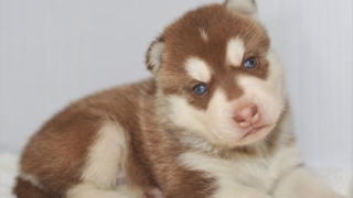 Thumbnail of post image 003