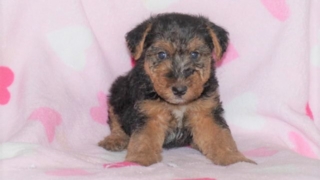 Thumbnail of post image 139