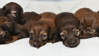 Thumbnail of post image 177