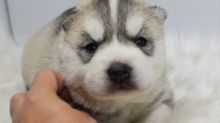 Thumbnail of post image 026