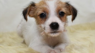 Thumbnail of post image 100