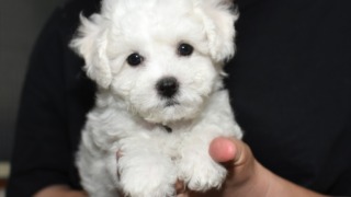 Thumbnail of post image 111