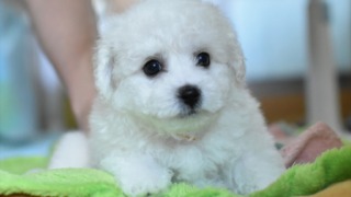 Thumbnail of post image 014