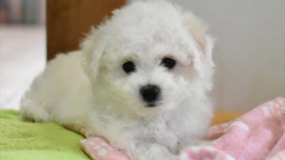 Thumbnail of post image 156