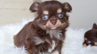 Thumbnail of post image 044