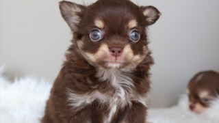 Thumbnail of post image 085