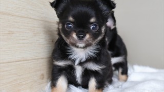 Thumbnail of post image 028