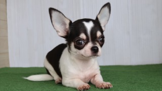 Thumbnail of post image 175